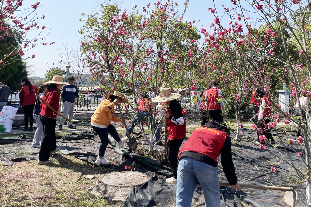 图片9.png undefined