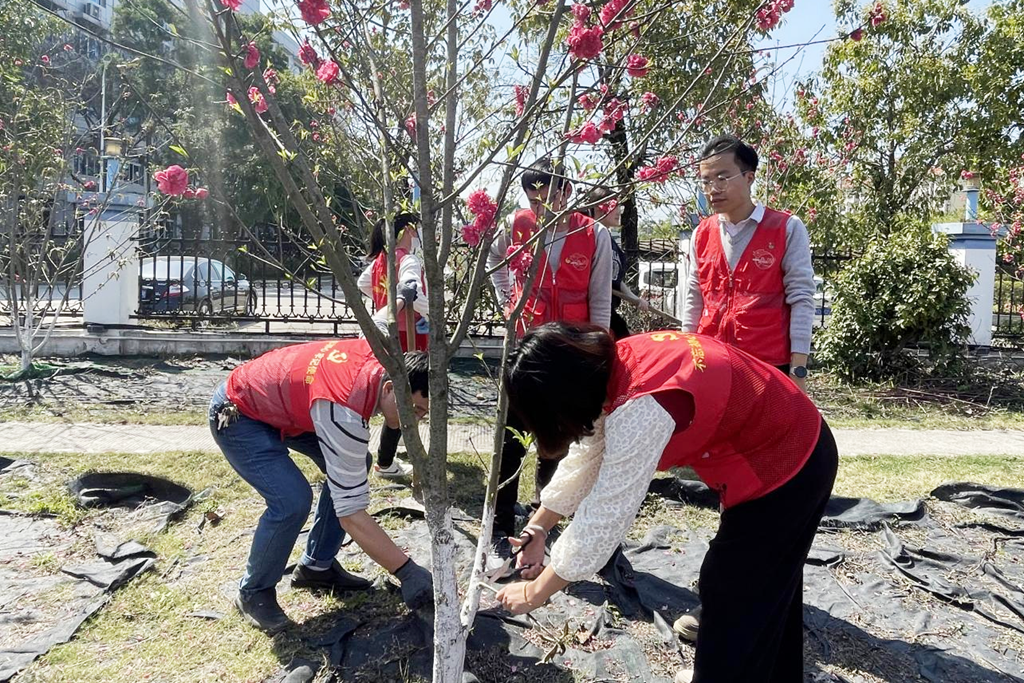 图片10.png undefined